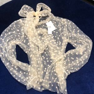 NWT Banana Republic sheer blouse Sz M